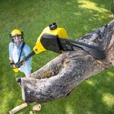 Best Emergency Tree Removal  in Bren Bow, OK