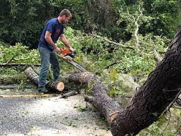 Best Tree Preservation Services  in Bren Bow, OK