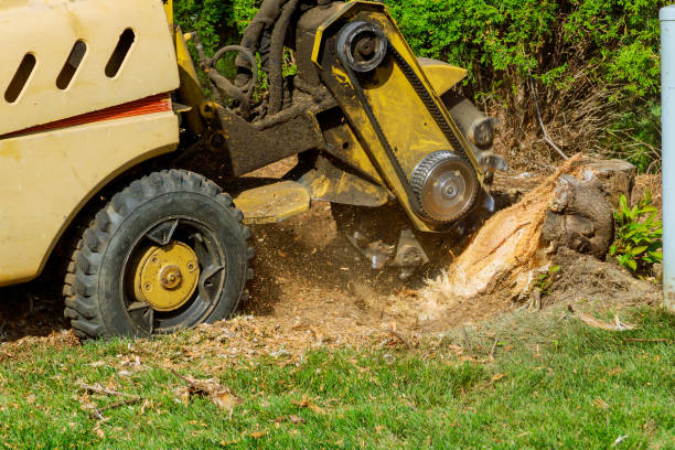 Best Seasonal Cleanup (Spring/Fall)  in Bren Bow, OK