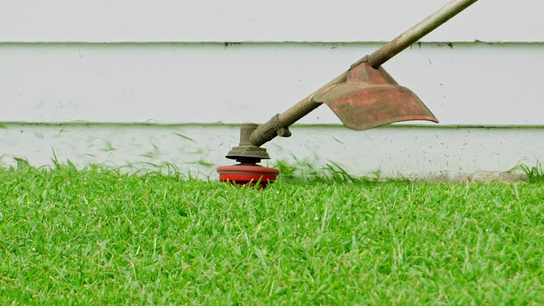 Best Tree Disease Treatment  in Bren Bow, OK