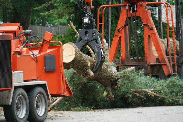 Best Tree Mulching  in Bren Bow, OK
