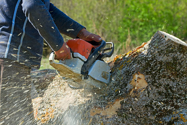Best Organic Lawn Care Solutions  in Bren Bow, OK