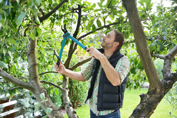 Best Hedge Trimming  in Bren Bow, OK